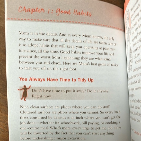 Book : Pocket Mom - every day wisdom, tips and down home advice by Dina Fayer - Picture 10 of 16